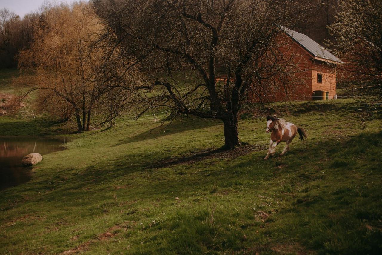 Osada Krasne - Blisko Natury Lodge *