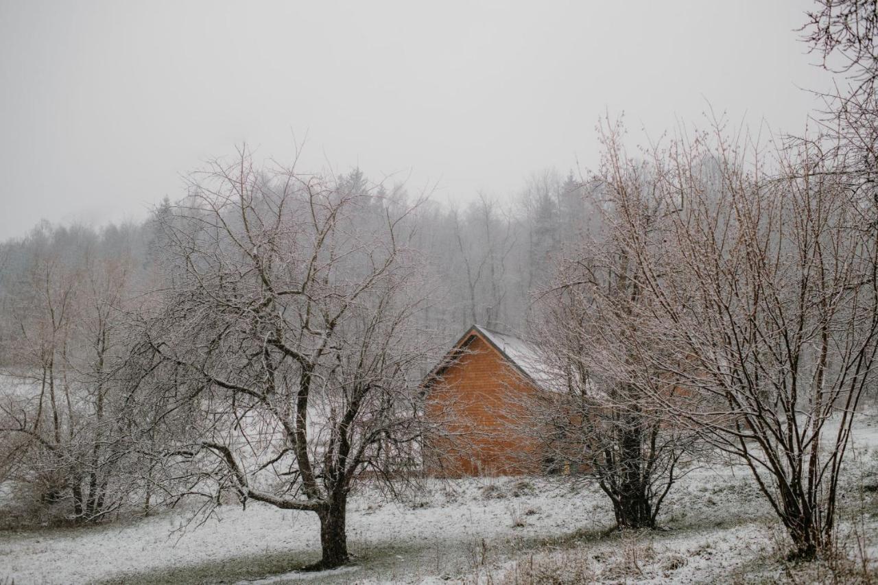 Lodge Osada Krasne - Blisko Natury