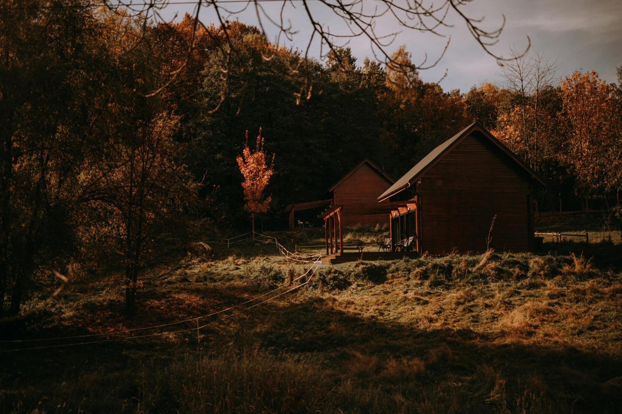 Lodge Osada Krasne - Blisko Natury